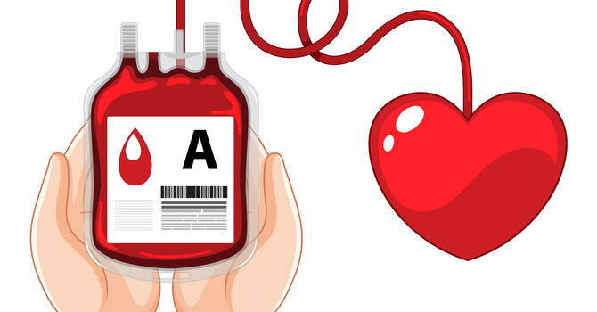 Giving Blood: Building Community, Connection, and Purpose image