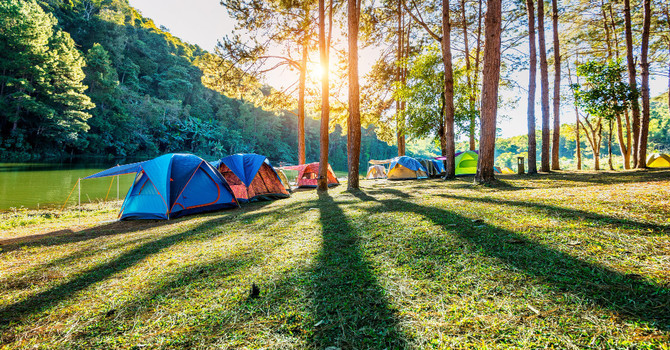 The Emotional Journey of Camp: How Children Grow and Parents Cope